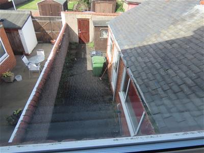 Picture 7
